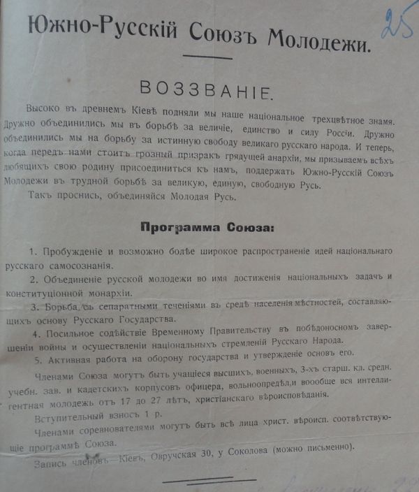  Программа Южно-Русского союза молодежи
