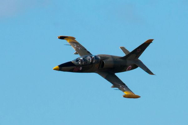 Самолет L-39