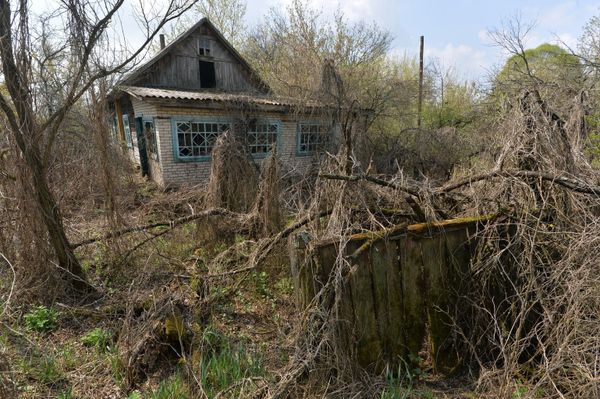 Белорусский сектор зоны отчуждения Чернобыльской АЭС Белорусский сектор зоны отчуждения Чернобыльской АЭС