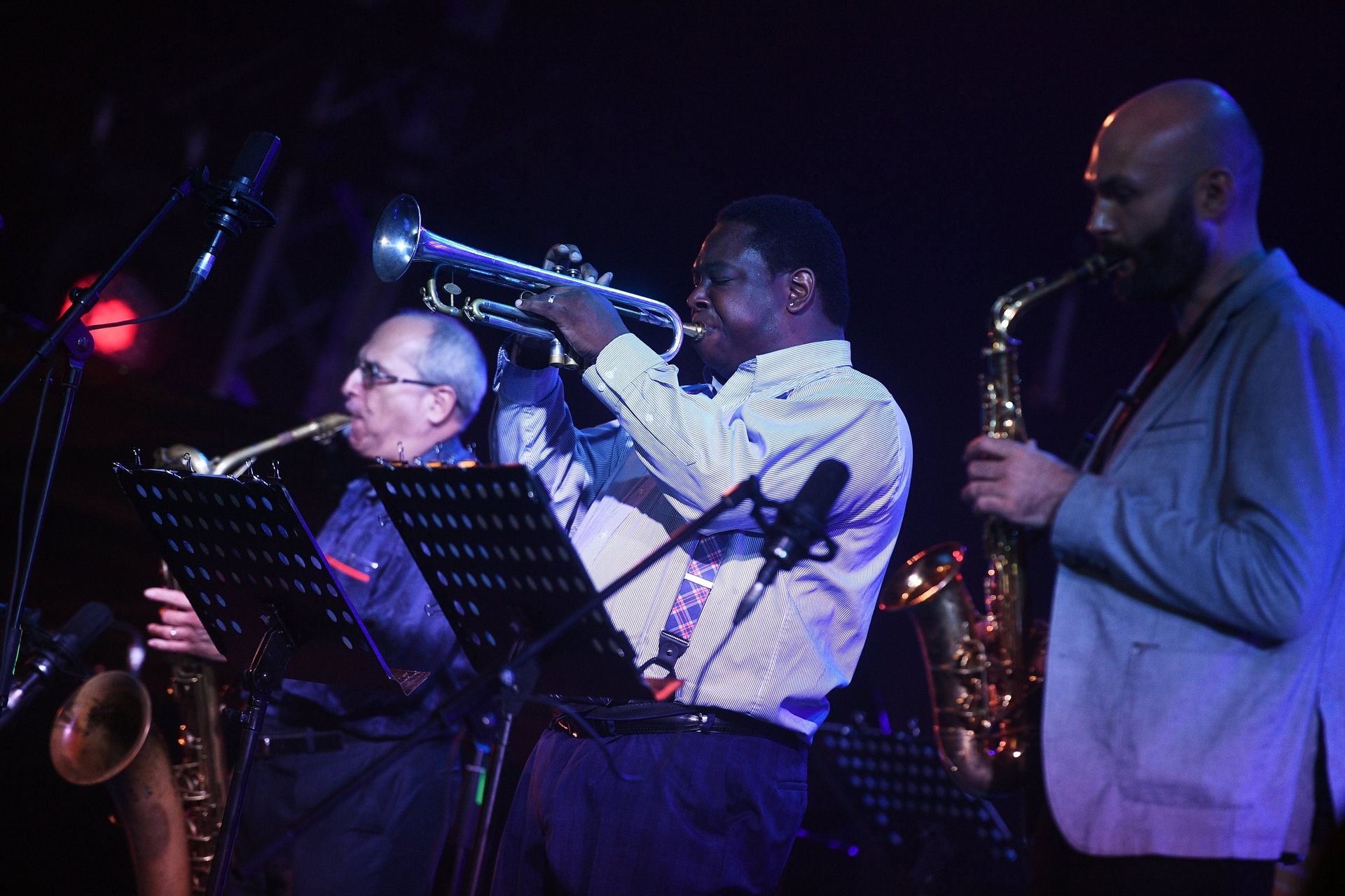 Фестиваль Koktebel Jazz Party - РИА Новости, 1920, 30.08.2019