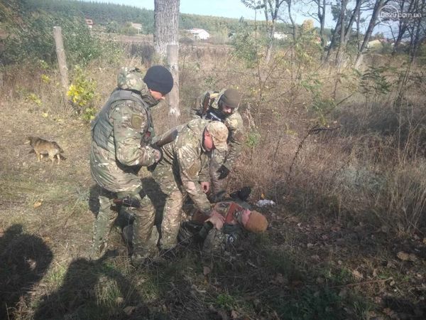 Нацкорпус Золотое Нацкорпус Золотое