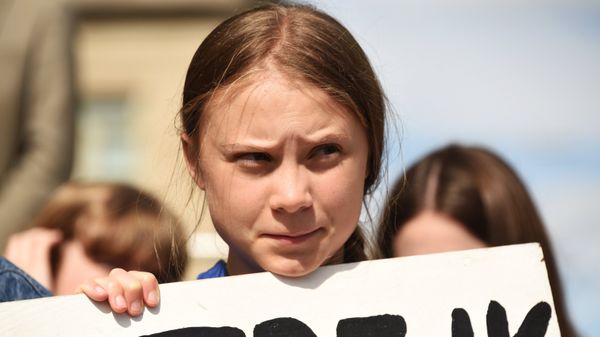 Митинг с участием экоактивистки Греты Тунберг в США