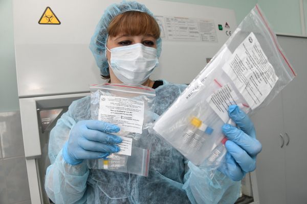 В Забайкалье поступила тест-система для определения антигена коронавируса В Забайкалье поступила тест-система для определения антигена коронавируса