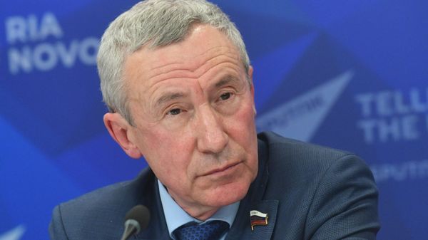 Заместитель председателя Комитета Совета Федерации по международным делам Андрей Климов