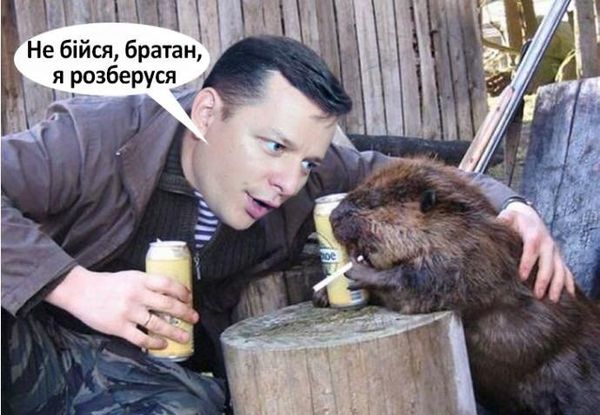 Ляшко бобры