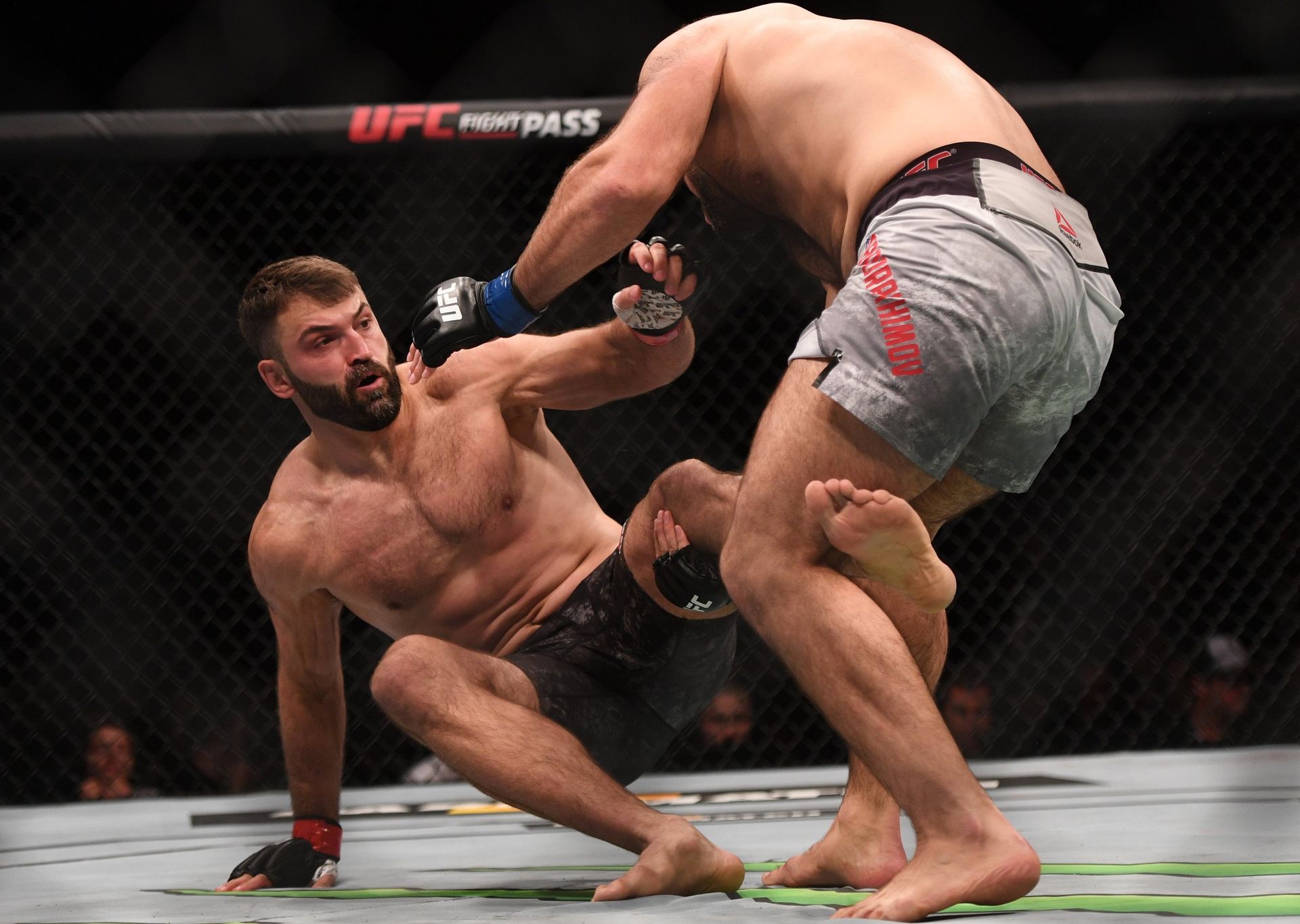 UFC Fight Night в Москве UFC Fight Night в Москве - РИА Новости, 1920, 22.05.2020