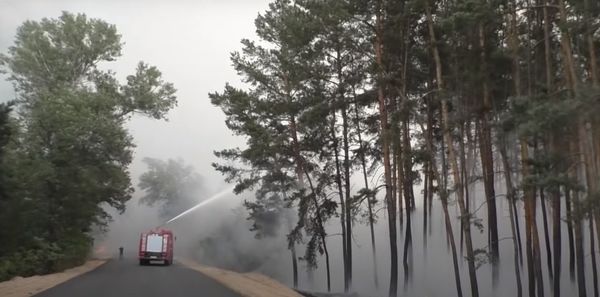 Луганская область пожар лес Луганская область пожар лес