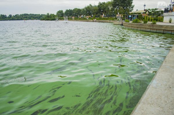 Днепр зеленая вода