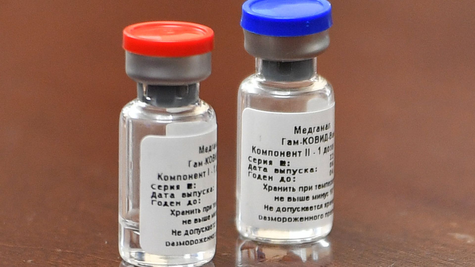 Брифинг, посвященный первой в мире зарегистрированной вакцине от COVID-19 - РИА Новости, 1920, 31.01.2021