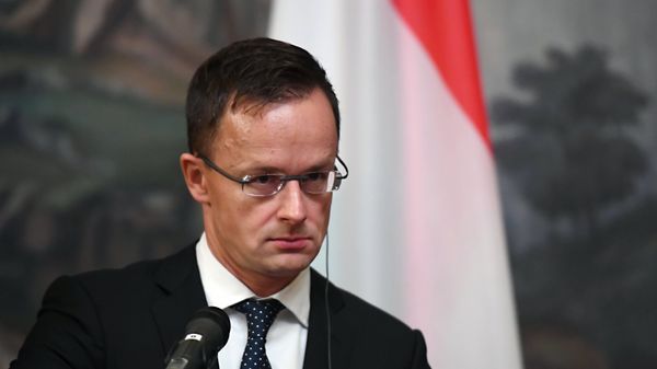 Встреча глав МИД РФ и Венгрии С. Лаврова и П. Сиярто