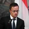 Встреча глав МИД РФ и Венгрии С. Лаврова и П. Сиярто