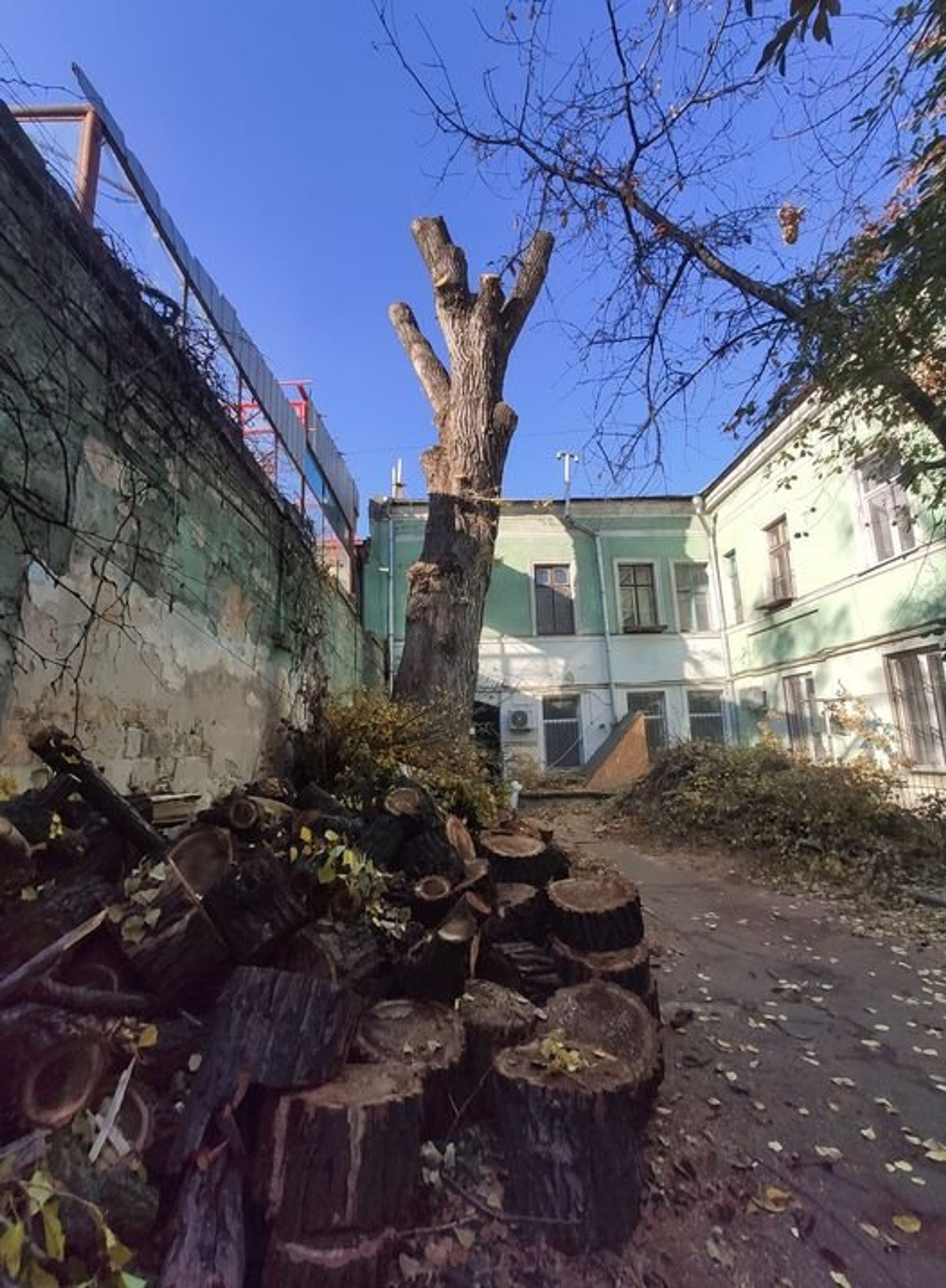   - РИА Новости, 1920, 24.11.2020