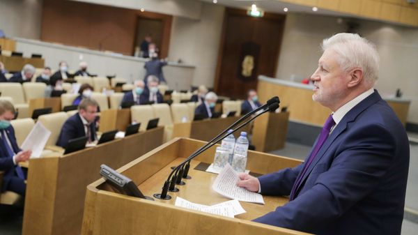 Пленарное заседание Госдумы РФ