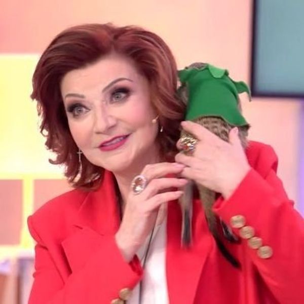Елена Степаненко