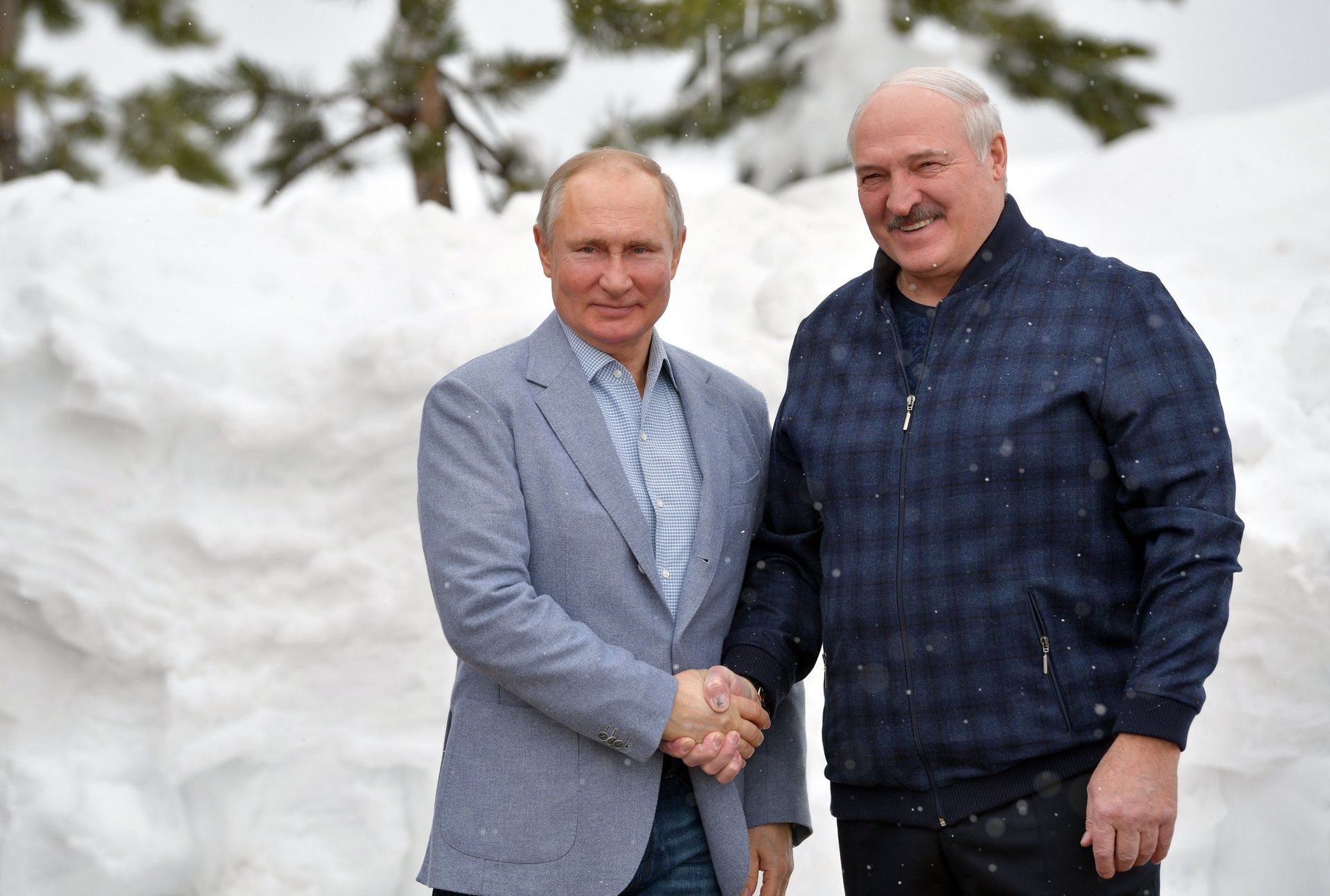 Президент РФ В. Путин встретился с президентом Белоруссии А. Лукашенко - РИА Новости, 1920, 02.03.2021