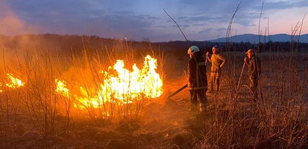 На Закарпатье горела Долина нарциссов На Закарпатье горела Долина нарциссов