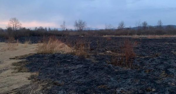 На Закарпатье горела Долина нарциссов На Закарпатье горела Долина нарциссов