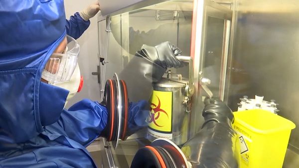 Работа российской полевой биолаборатории в Италии