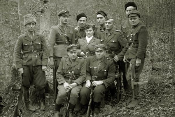 Пальчак, Пасечный, Цесарский ОУН УПА