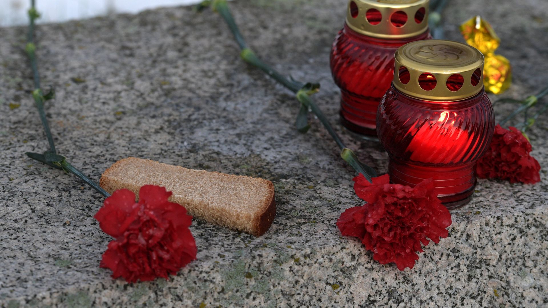 Мероприятия, посвященные 76-й годовщине полного освобождения Ленинграда от фашистской блокады - РИА Новости, 1920, 25.08.2023