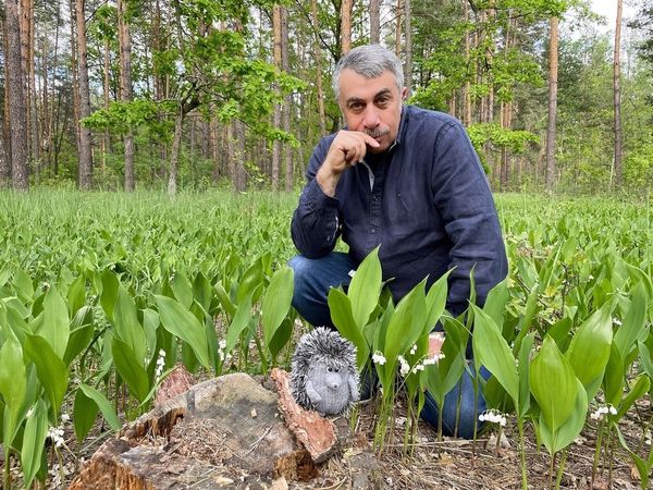 Евгений Комаровский Евгений Комаровский