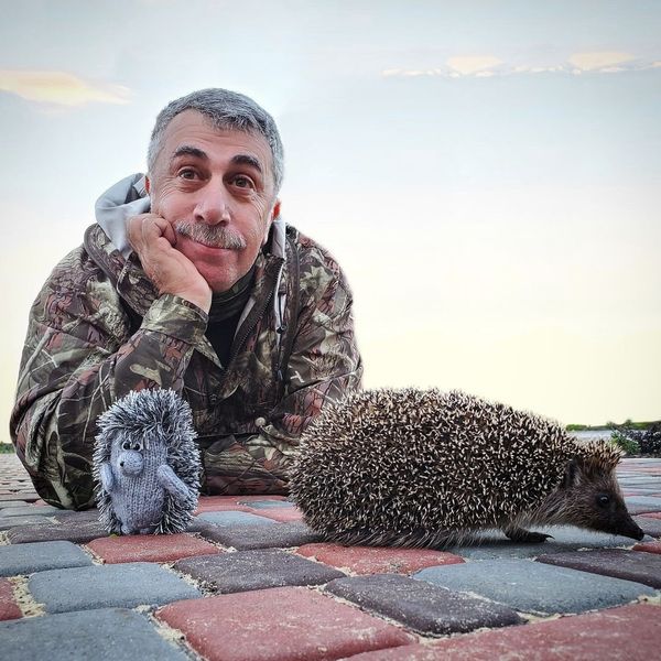 Евгений Комаровский Евгений Комаровский