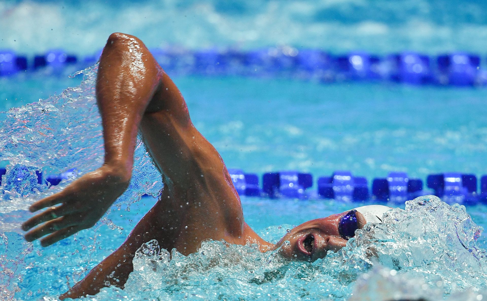 Чемпионат мира FINA 2019. Плавание. Восьмой день - РИА Новости, 1920, 27.07.2021