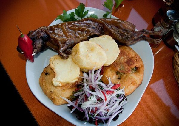 Куй морская свинка