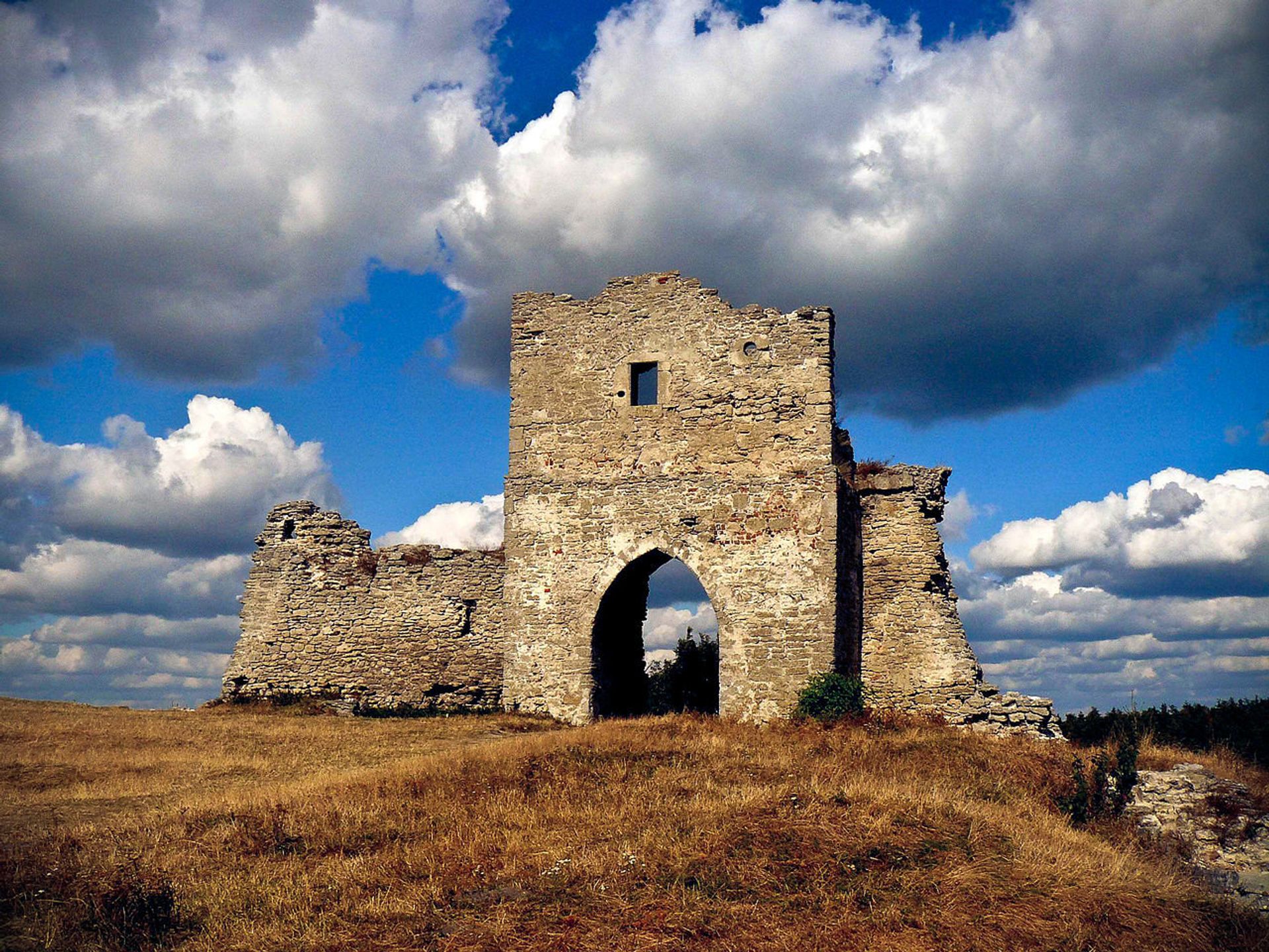   - РИА Новости, 1920, 13.08.2021