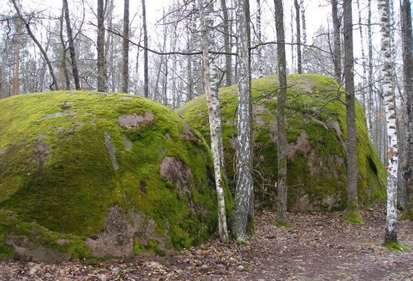 Каменное село Житомирская область