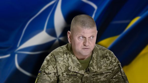 коллаж Валерий Залужный НАТО