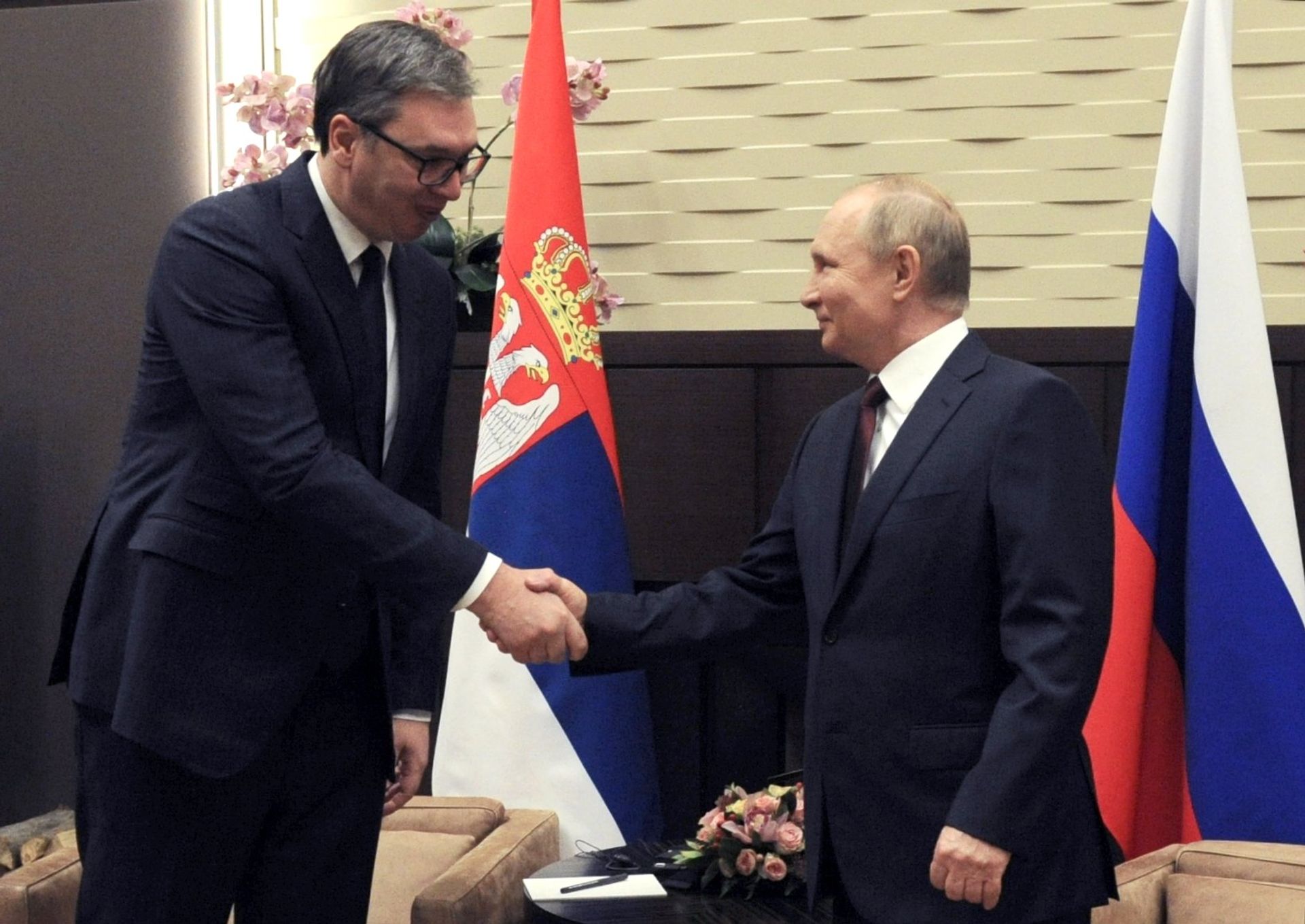 Встреча президента РФ В. Путина с президентом Сербии А. Вучичем - РИА Новости, 1920, 25.04.2022