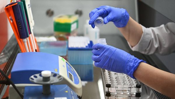В России разработан первый тест на выявление британского штамма COVID-19