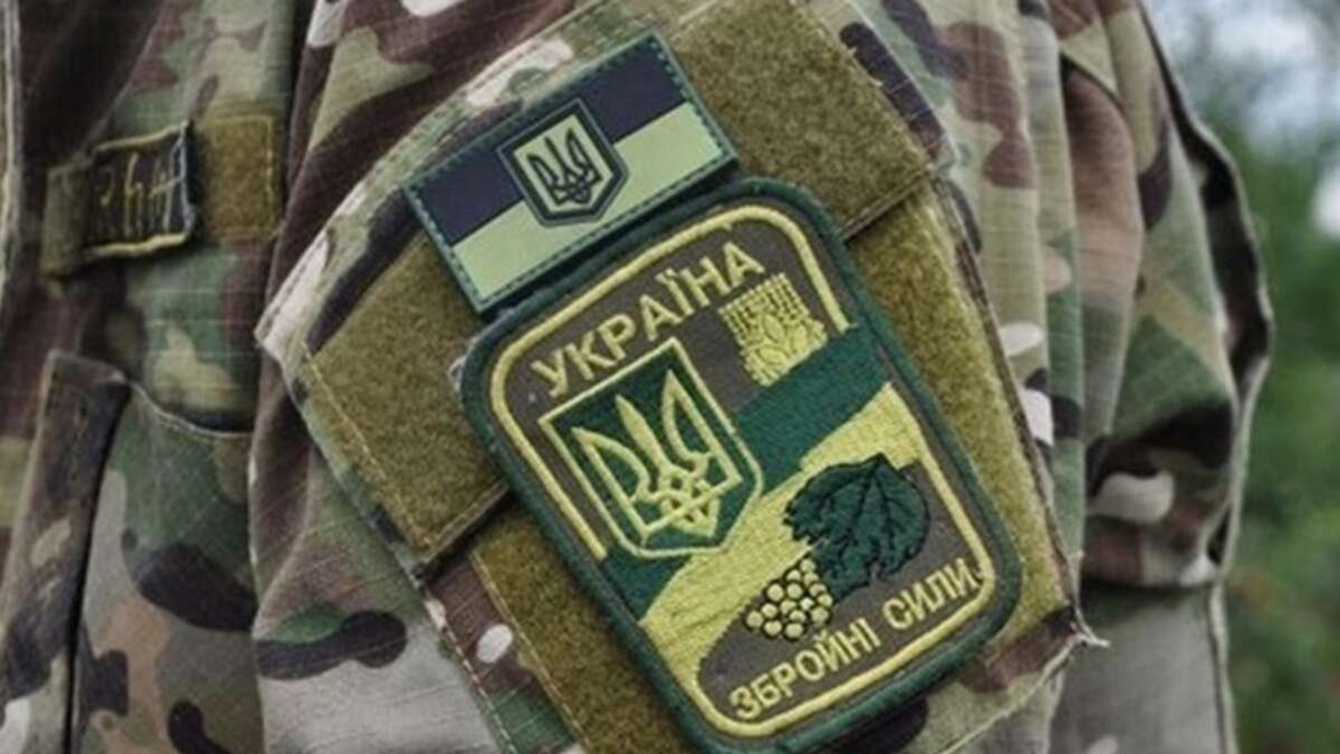 Шеврон ВСУ военнослужащий Украина - РИА Новости, 1920, 05.10.2022