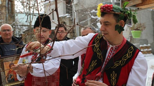 Виноградный царь Виноградный царь