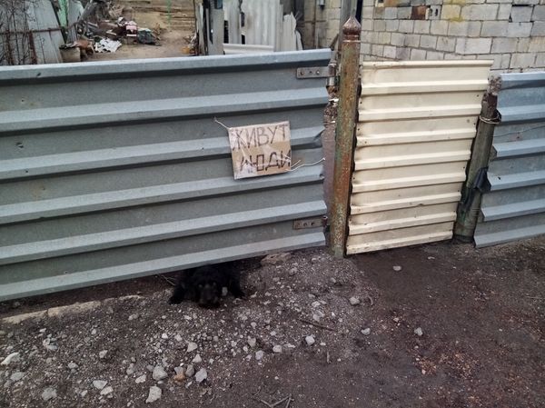 Обстрел ВСУ Сопино Пионерское жители разрушение дом Живут люди надпись табличка Обстрел ВСУ Сопино Пионерское жители разрушение дом Живут люди надпись табличка