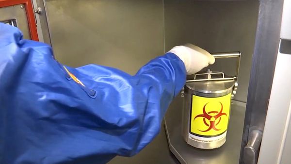Работа российской полевой биолаборатории в Италии