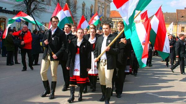 Венгры Закарпатье флаг