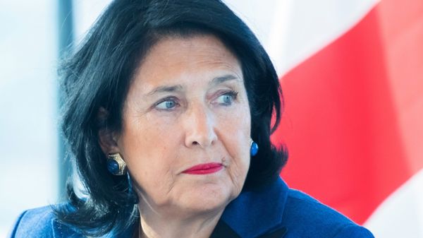 Встреча президентов Австрии и Грузии А. Ван дер Беллена и С. Зурабишвили