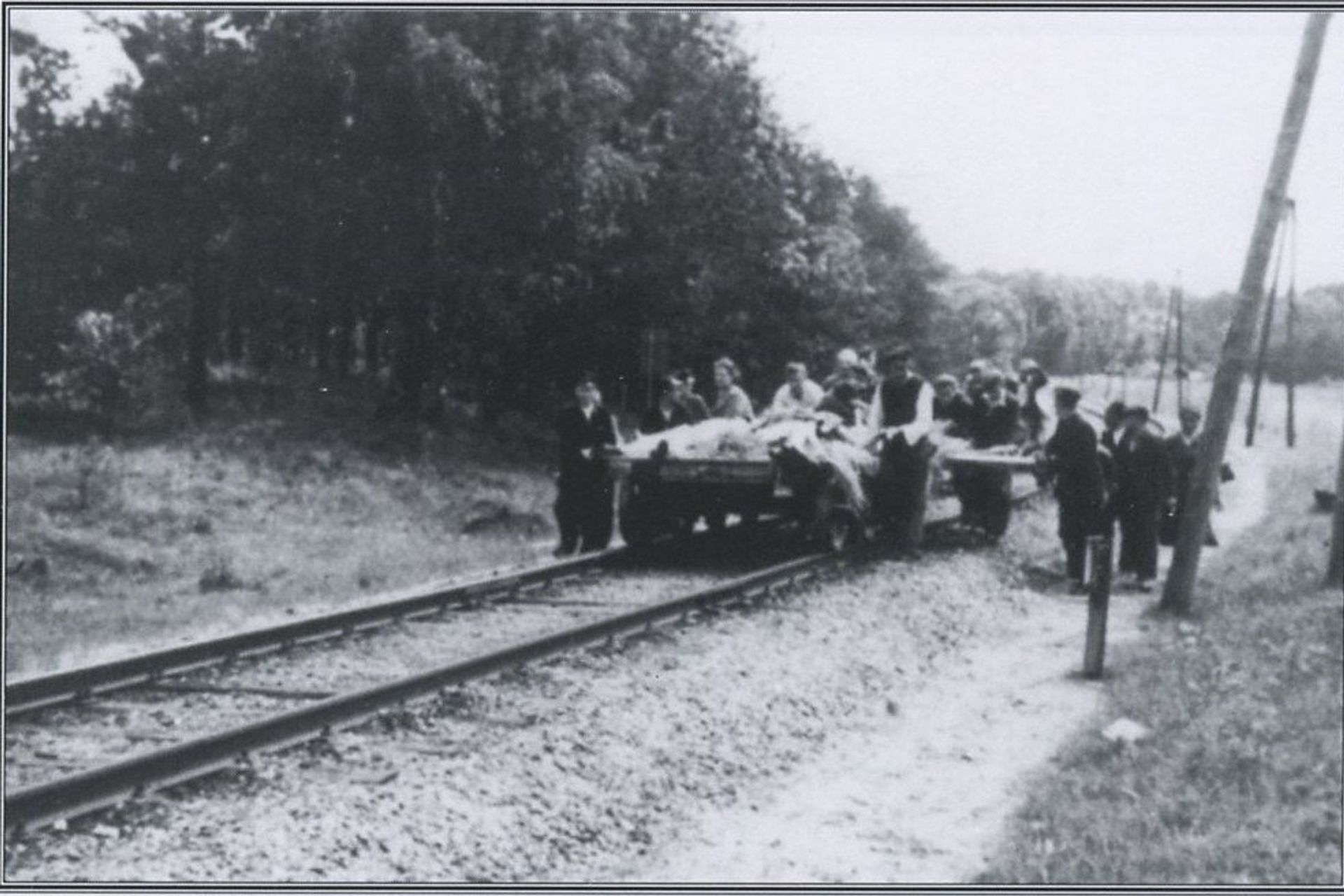   - РИА Новости, 1920, 16.06.2022