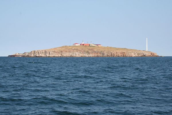 Остров Змениный